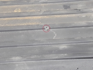 RENAULT Kangoo III (2021–2026) Trunk carpet 849022931R - 2