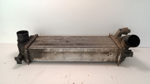 RENAULT Kangoo (2008–2020) Vahejahuti radiaator 82200382109 - 2