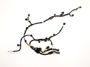 Kabelbaum - 1068767-00-G
