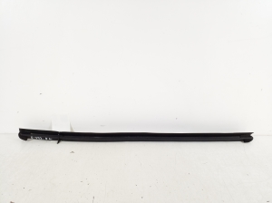 Rear side door inner window molding - 
