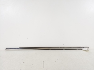 Rear side door outer window molding - 