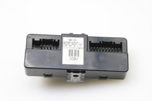 Steuergerät - 919402Y010