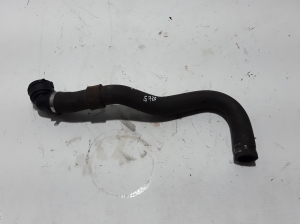 Radiator hose - 1614086780