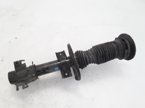 RENAULT Master III (2010–2017) Stoßdämpfer vorne 543024506R - 5