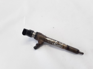   Fuel injector 