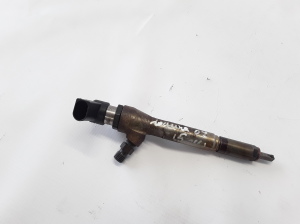   Fuel injector 