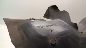 Citroen DS4 (2011–2018) Luftleitblech für den Kühler 9671970280 - 3