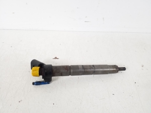   Fuel injector 