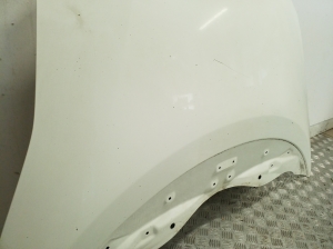 NISSAN Leaf I (2010–2017) Hood - 5