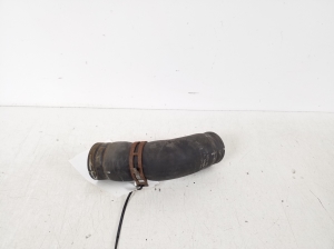 Radiator hose - 7E0121101D