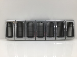 Front grille - 55055059