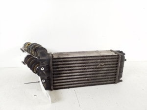 Citroen DS4 (2011–2018) Intercooler 9684212480 - 3