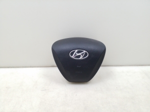 Steering wheel airbag - 569003Z100RY