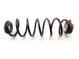   Rear spring  -  
