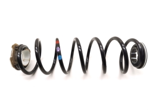 Rear spring