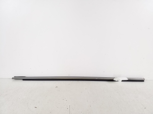   Rear side door molding  -  