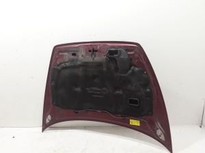 VOLVO V50 (2004–2012) Motorhaube 31371415 - 2