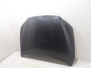Hood - 31371418