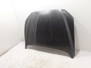 Hood - DS73F16854CF
