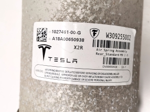 Tesla Model X X (2015–2026) Aizmugurējais amortizators un tā daļas 1027461-00-G - 3