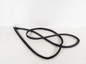 Ford Fiesta VI (2008–2017) Front door rubber seal - 2