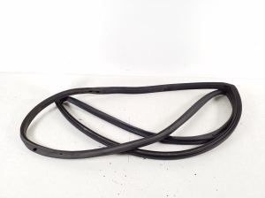 Ford Fiesta VI (2008–2017) Front door rubber seal E1BBA20531AD - 2