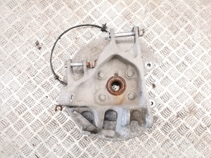 Rear wheel hub - 1027411-00-D