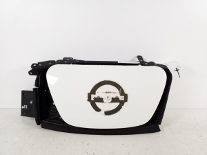 Front grille - 657013NL6B