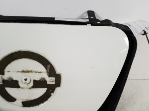 NISSAN Leaf I (2010–2017) Front grille 657013NL6B - 5