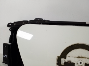 NISSAN Leaf I (2010–2017) Front grille 657013NL6B - 7