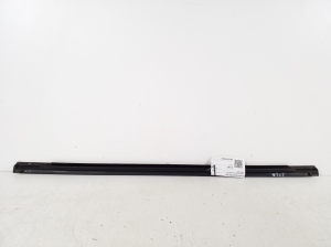 Ford Fiesta VI (2008–2017) Rear side door outer window molding - 3