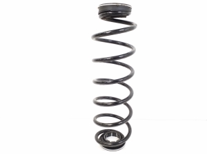 Rear spring