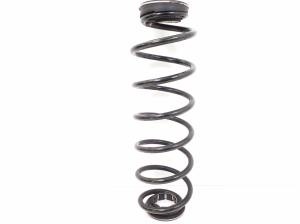 Rear spring