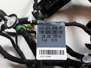 AUDI Q2 (2016–2026) Other wire 81A971030AF - 2