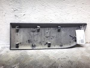 RENAULT Master III (2010–2017) Esiukse liist 808210166R - 3