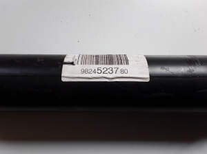 Citroen C3 Aircross (2017–2026) Stoßdämpfer hinten 9824523780 - 2