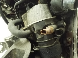 Volkswagen Transporter T6 (2015–2026) Motor CXE - 6