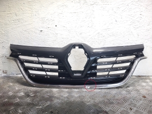 Kühlergrill - 623100546R