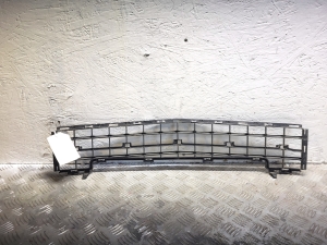 Mercedes Benz A-Class 169 (2004–2012) Front bumper lower grille A1698850124 - 2