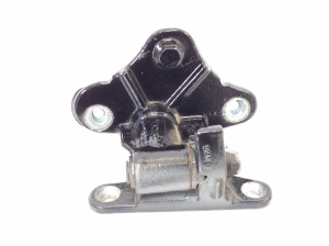   Rear side door lower hinge  -  