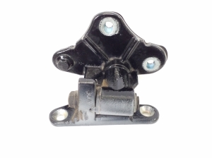   Unteres Scharnier Tür hinten  - A2517300437 