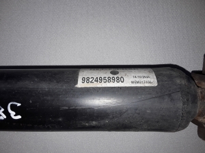 Peugeot 3008 (2016–2026) Stoßdämpfer hinten 9824958980 - 2