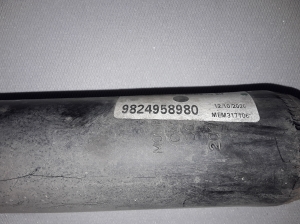 Peugeot 3008 (2016–2026) Stoßdämpfer hinten 9824958980 - 2