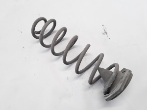 RENAULT Megane III (2008–2016) Rear spring 550200032R - 2
