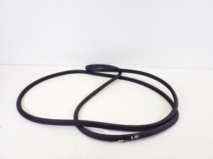 Rear side door seal on the door - 83140-C5000