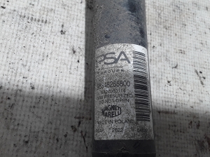 Peugeot 208 (2019–2026) Stoßdämpfer hinten 98348265800 - 2
