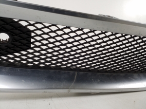  Front bumper lower grille 