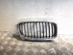 Front grille - 51137255412