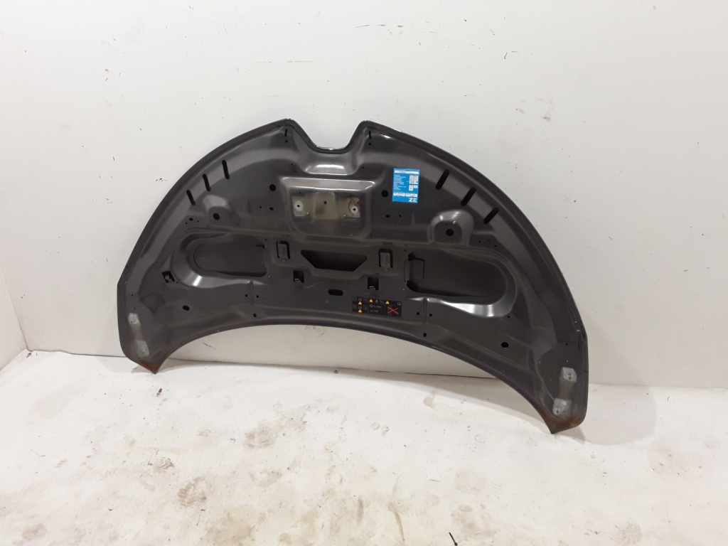 RENAULT Zoe 1 generation (2012-2023) Kapotas 651221804R,651004516R 21069236