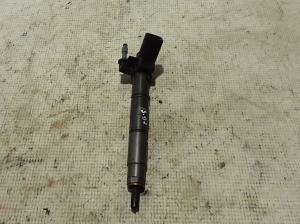   Fuel injector 